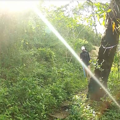 Hiking in the early morning sun