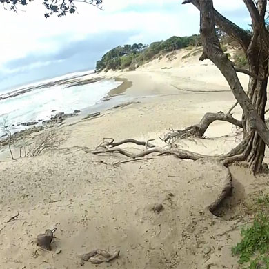 One of the Wild Coast's pristine beaches